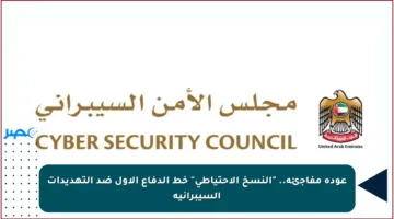 عودة مفاجئة.. “النسخ الاحتياطي” خط الدفاع الأول ضد التهديدات السيبرانية